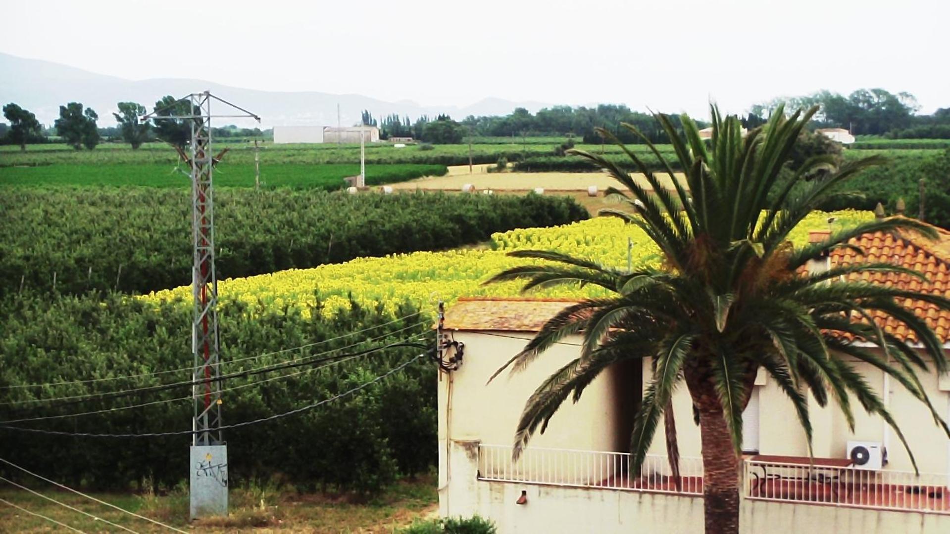 La Masia Sant Pere Pescador Esterno foto